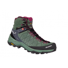 WS ALP TRAINER 2 MID GTX