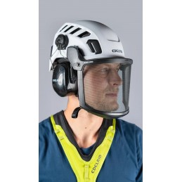 HELMET VISOR MESH